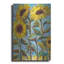 «Sunny» par St. Hilaire Elizabeth-1435497206