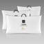Oreiller de soutien ferme en duvet Nilis-57290074