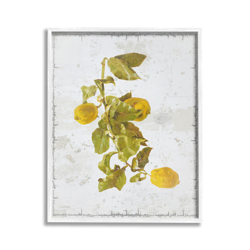 Art de giclée encadrée de fruits naturels par GraffiTee Studios, Giclée encadrée blanc bord de mer, H 20 po x l 16 po