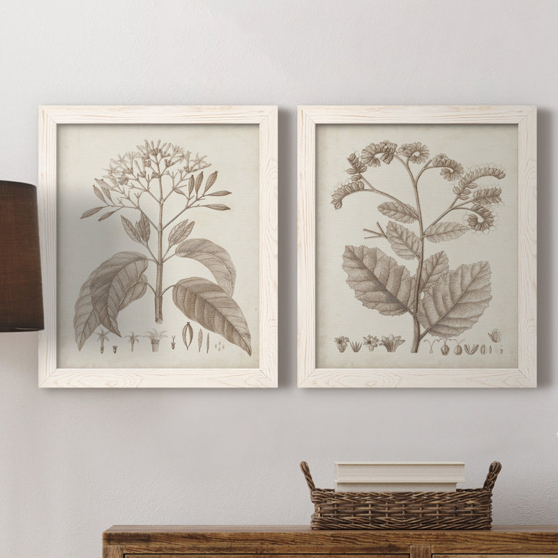Antique sépia botanicals II, toile encadrée de qualité supérieure - prête à être accrochée, H 20 po x l 17 po x P 1 po