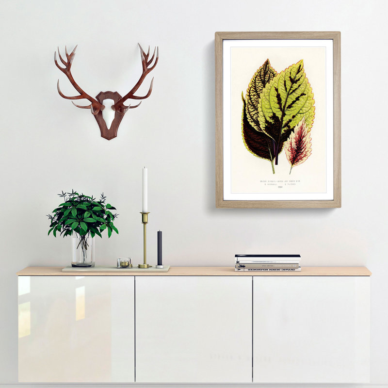 Assortment of Leaves - Picture Frame Painting Print, Oak Framed, 87cm H x 62cm W x 2cm D