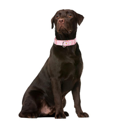 Pink Daisy Martingale Dog Collar For Large Dogs, No-Slip Escape Proof Choke No Pull Cinch Soft Nylon Training Dog Collars Adjustable For Small Medium