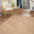 Garbrand Hand Woven Cotton Solid Color Rug-671450651