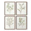 «Simple Sprig I», ensemble de 4 reproductions encadrées-855006134-855006132