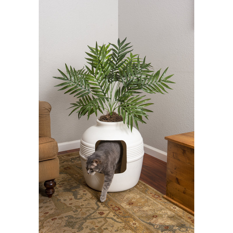 Litière pour chat avec couvercle, Bouleau blanc