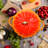 Pumpkin Enameled Cast Iron