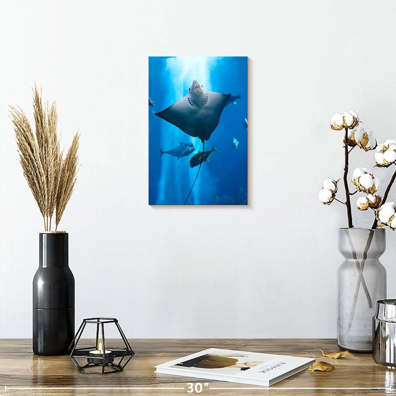 Brampt Manta Ray, 12" H x 8" W
