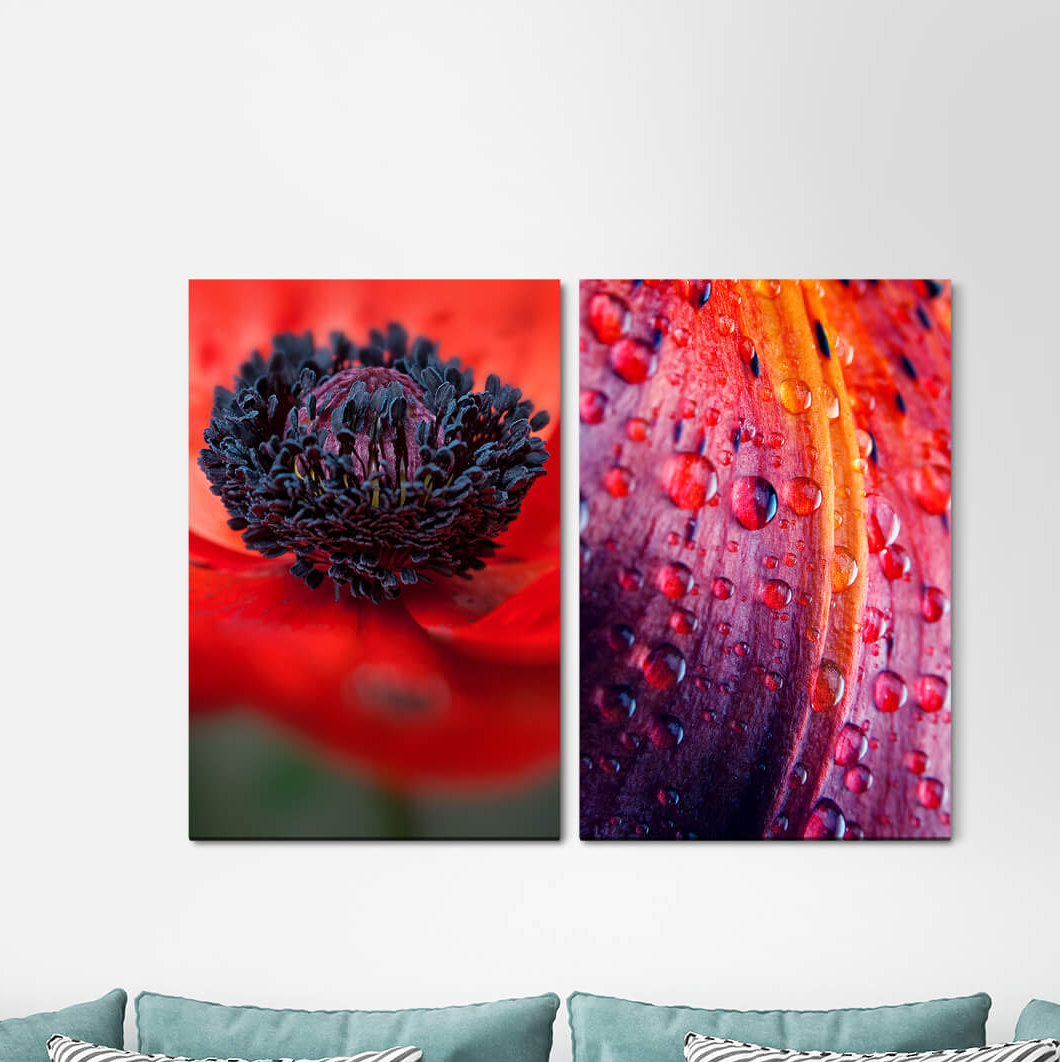 2-tlg. Leinwandbilder-Set - Fotografie „Poppy Flower Brook Blossom Red Water Drops”