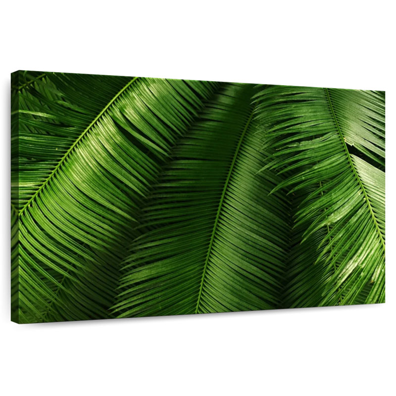 Harnek, feuilles tropicales élancées