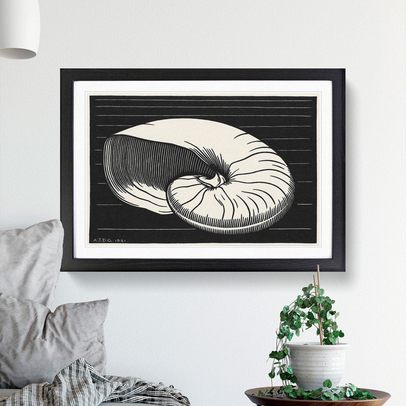 Shell by Julie De Graag - Picture Frame Painting, Black Framed, 48cm H x 65cm W x 2cm D