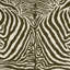 Equus 9.84' L x 70.8" W Wallpaper Roll