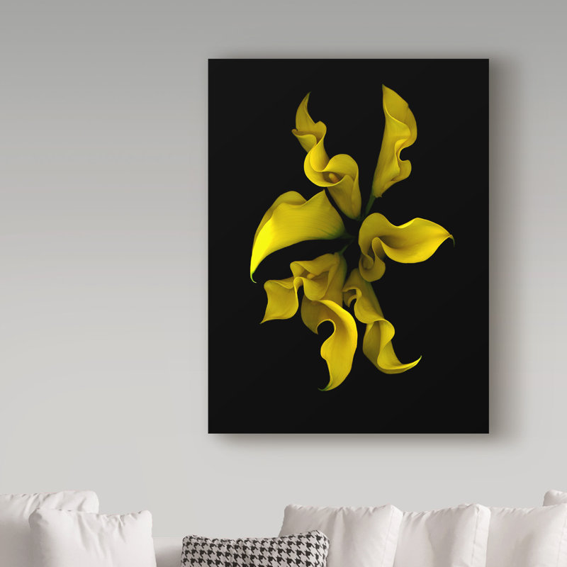 Dosta «Calla Lilies 4» par Reproduction d'art graphique sur toile tendue, H 19 po x l 14 po x P 2 po