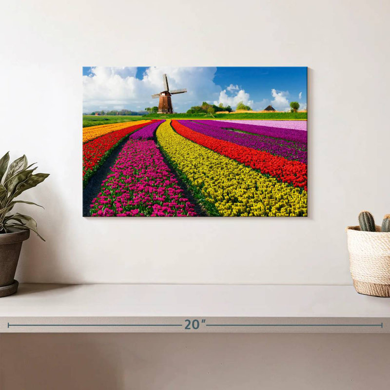 Harnek Windmill In Tulip Fields
