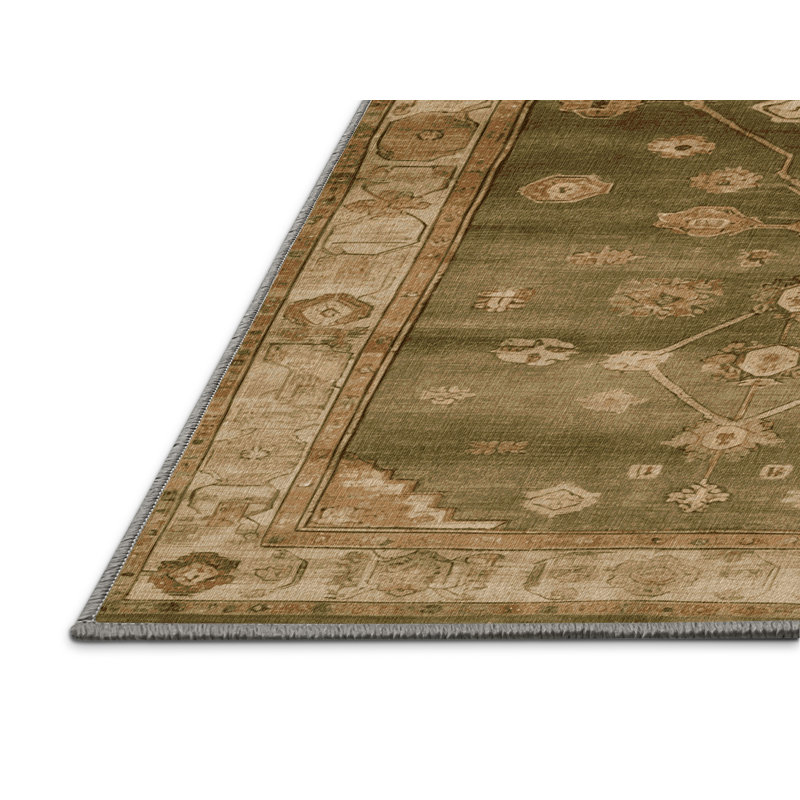 Machine Washable Overdyed Brown Area Rug, Rectangle 2' x 3'