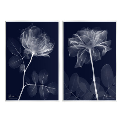 X-Ray Blossom on Black 2 Piece Wall Plaque Art Set by Albert Koetsier
