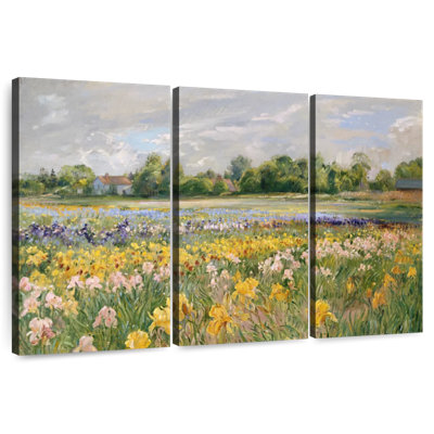 Alvord Cottages And Iris Field