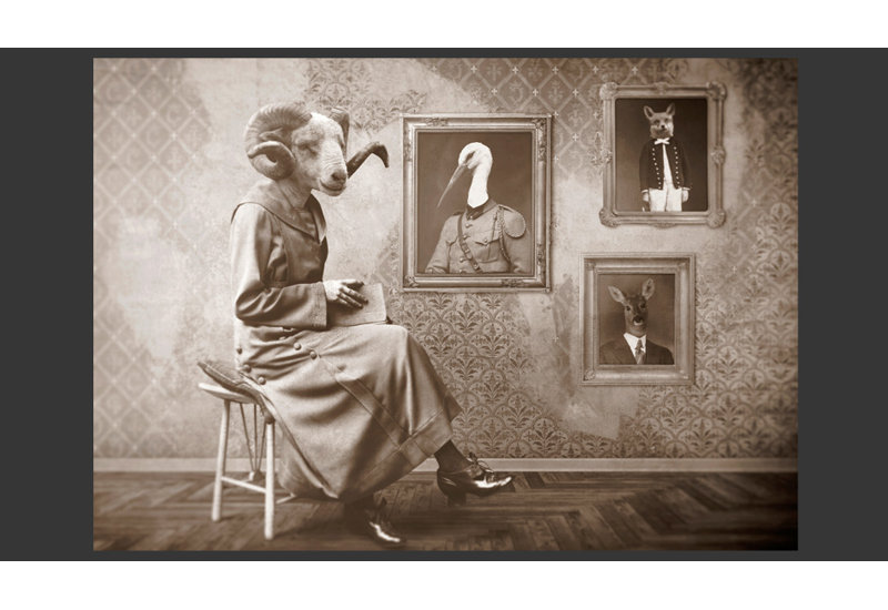 Real Hipsters 280cm x 400cm Wallpaper, 350 cm x 245 cm