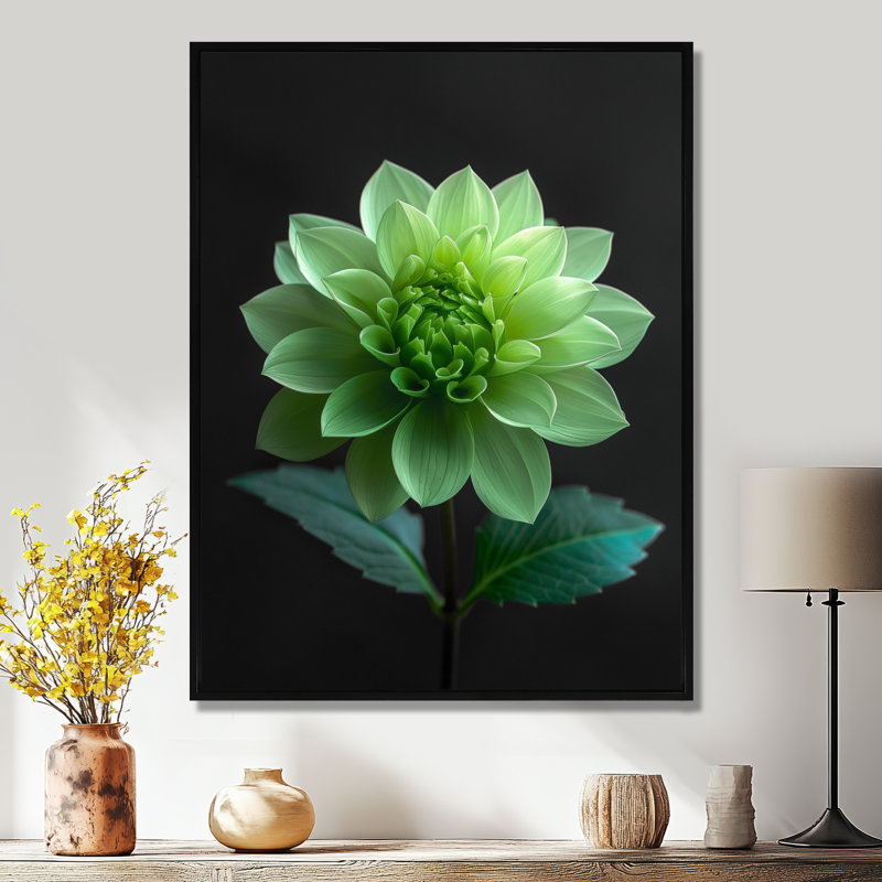 Dahlia noir et vert en photo monochrome - impression d'art mural Dahlia, Cadre flottant noir, H 30 po x l 40 po