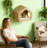 Wall Mounted Cat House