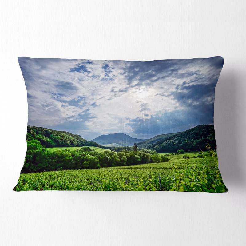 Coussin lombaire imprimé imprimé orage