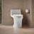 San Souci 1.28 GPF Elongated One-Piece toilet (Seat Included)-14063105-65083847