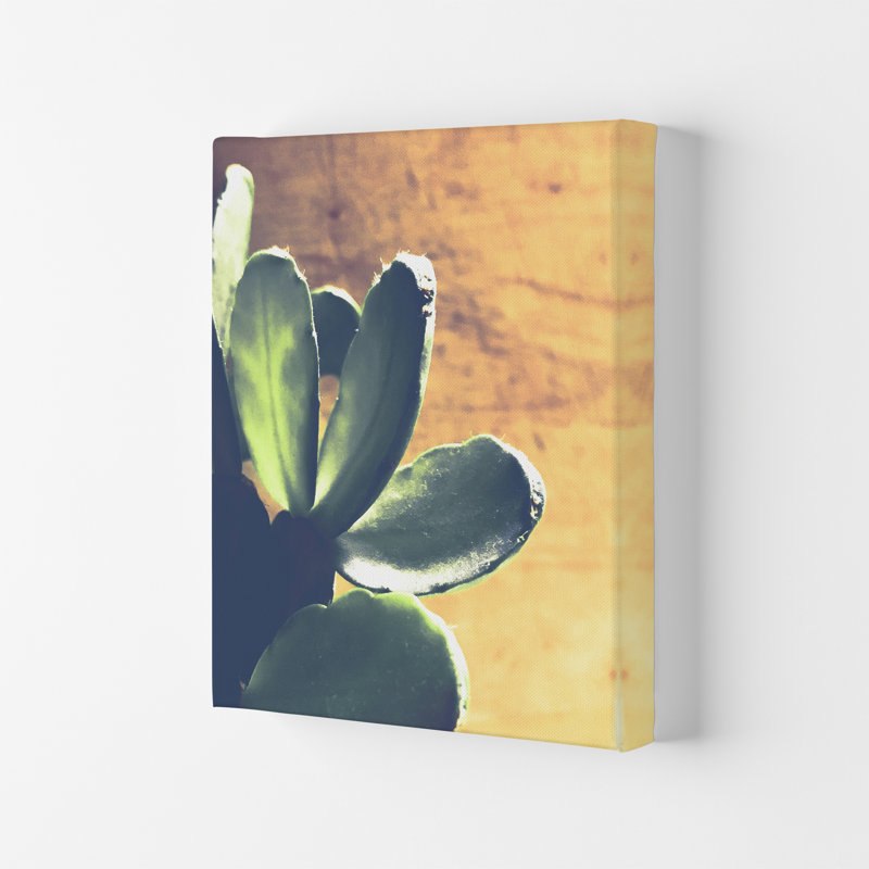 Cactus - Print, No Framed, 30cm H x 21cm W x 1cm D