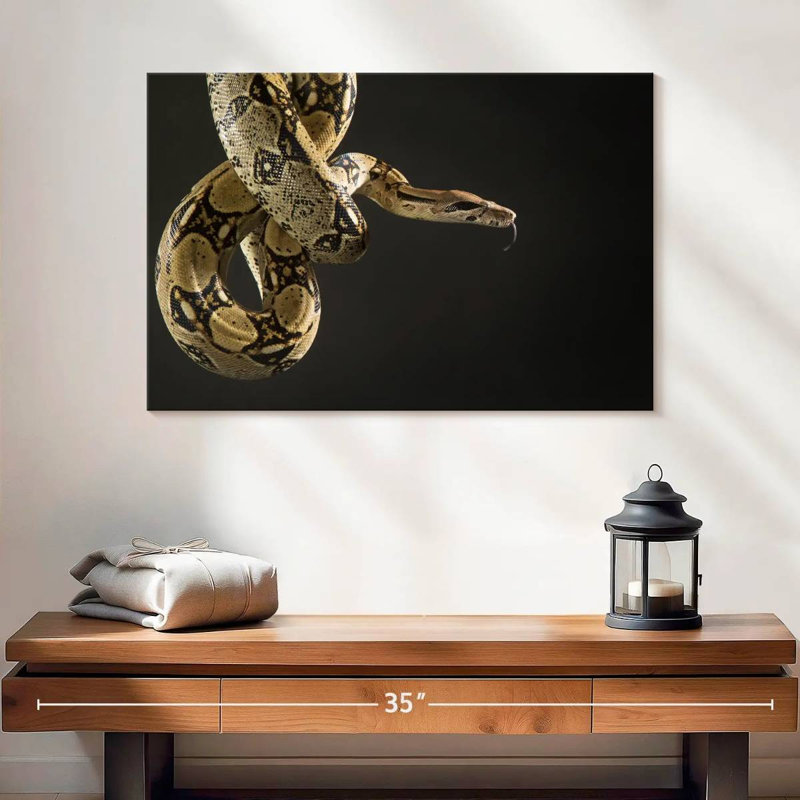 Serpent brun Brampt, H 16 po x l 24 po