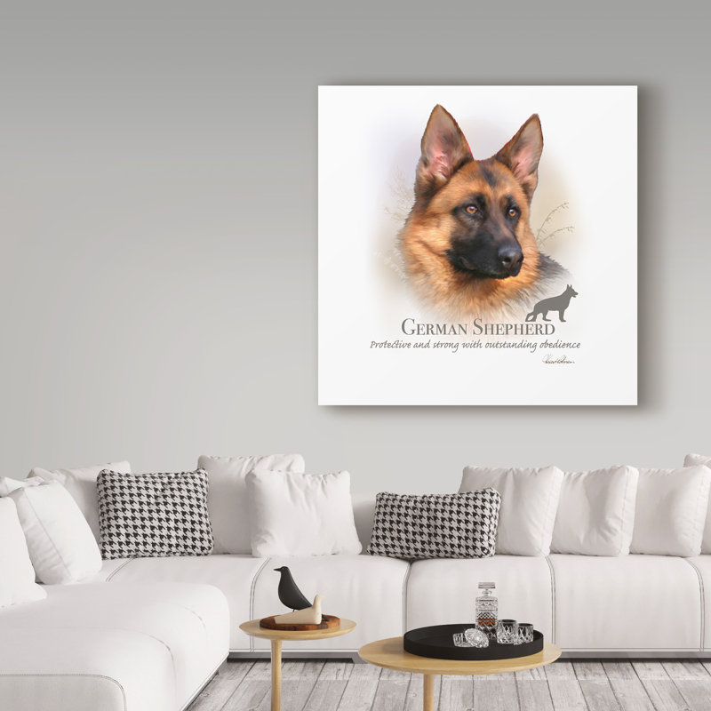« german berger », reproduction d’impression sur toile tendue, H 14 po x l 14 po x P 2 po