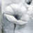 Grayscale flowers - 32"x32" art on canvas