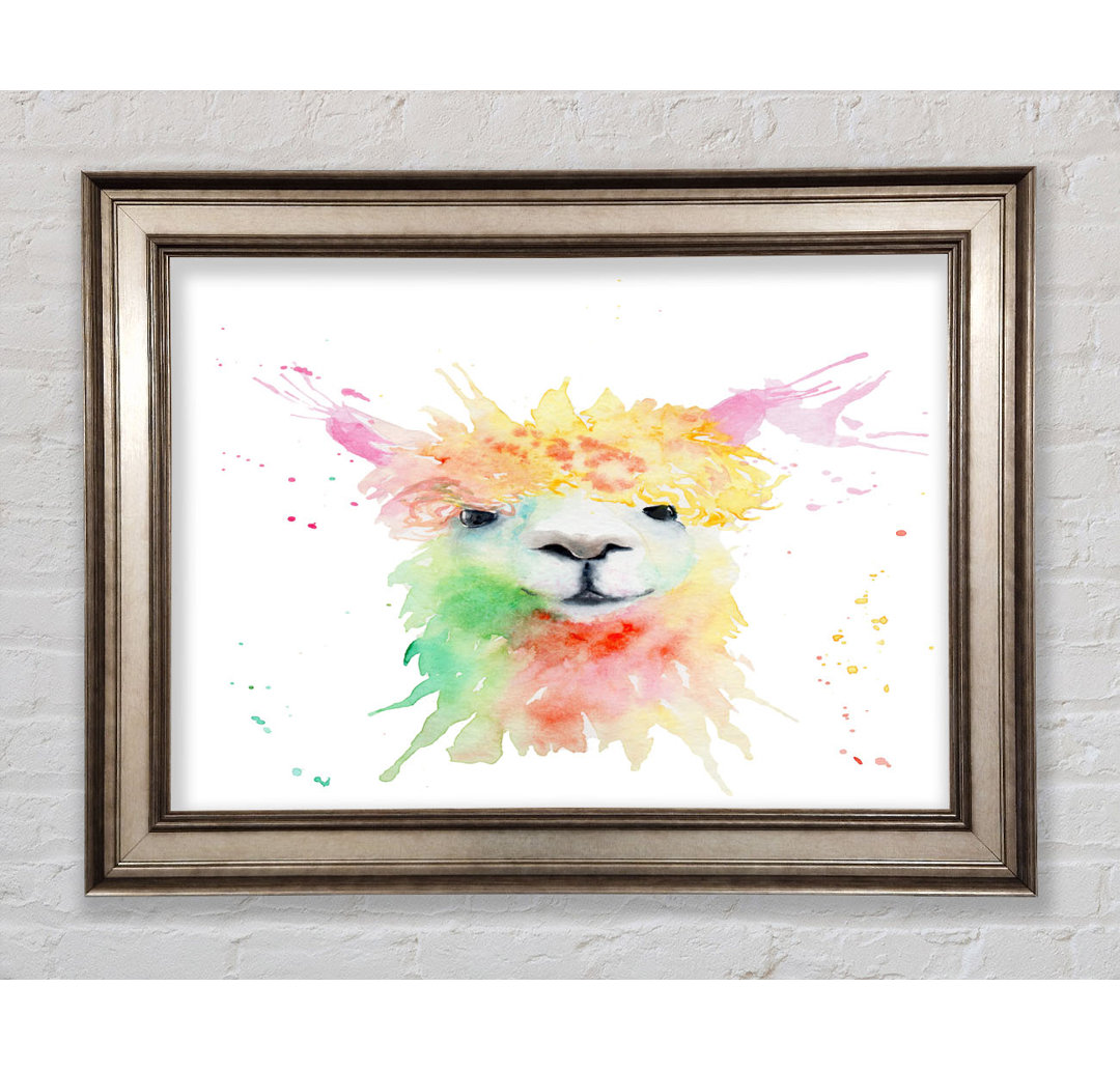 Splatter Colour Alpaca Gerahmter Druck