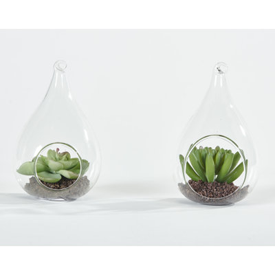 4.5'' Faux Succulent in Hanging Glass Terrarium