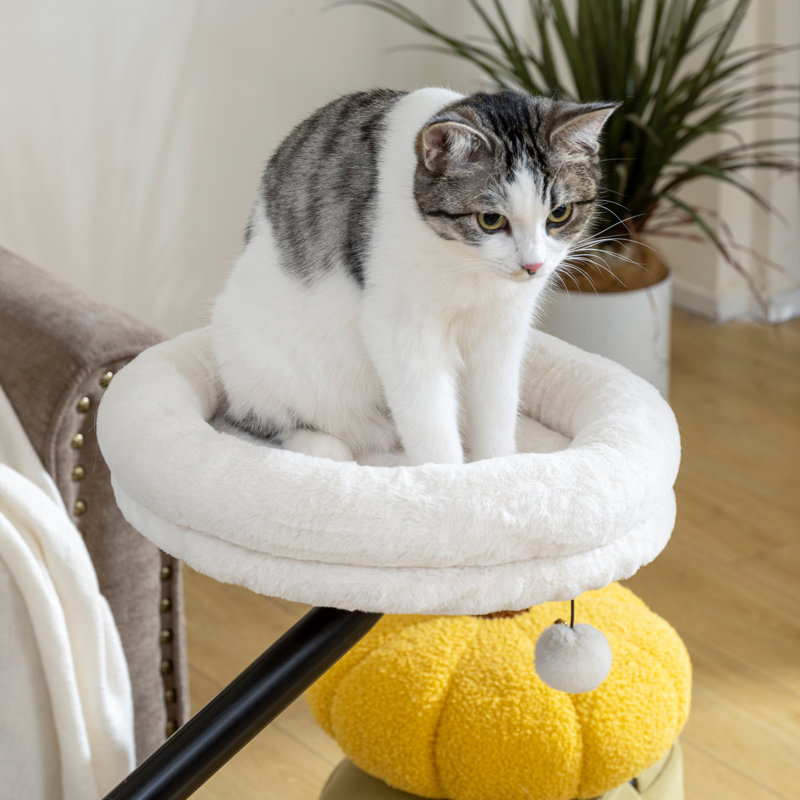 Pet Sofa, Cream