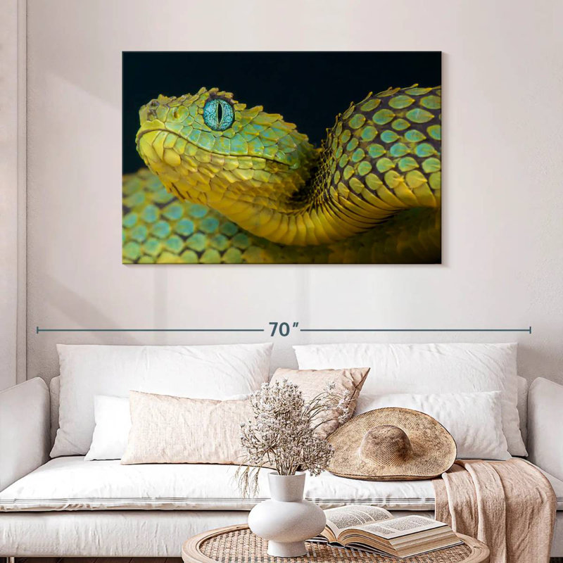 African Bush Viper, 30" H x 45" W