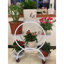 Support pour plante en pot Campisano-660658603
