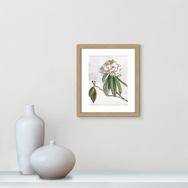 «Pearly Beauty II» par Eva Watts, Imprimé mat, L 13 po x H 15 po, Naturel