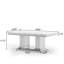Table basse-871293307-871293253