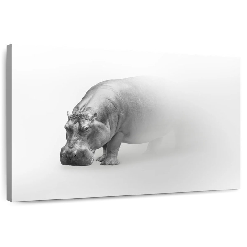 Phantom Hippo, 20" H x 30" W