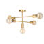 Drishya 5 Light Chandelier