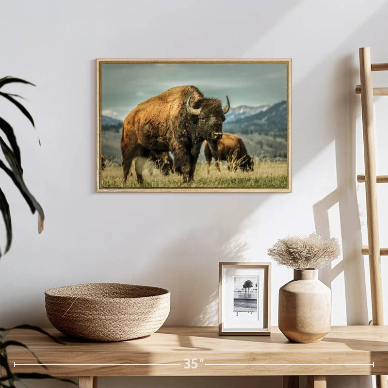Bison du Wyoming, 19 po x 13 po, Cadre flottant en bois naturel