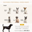 Lit pour chien avec rangement caché-390930291
