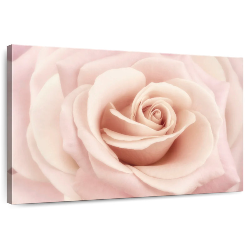 Harnek Peach Pink Rose, 8" H x 12" W