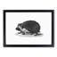 Hedgehog Illustration - Framed Print-55641523-55641517