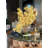 Cymbidiums In Moon Vase-108897964