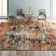 Oriental Indoor Rug
