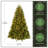 Downswept Douglas Fir Tree with Lights-1019149339-1019149316