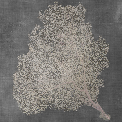 Éventail naturel de mer VII