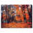 Toile tendue