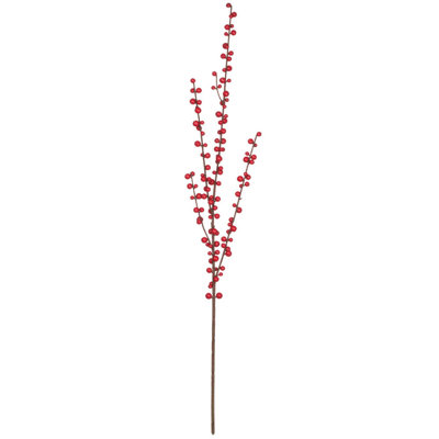 Kathreen Berry Stems