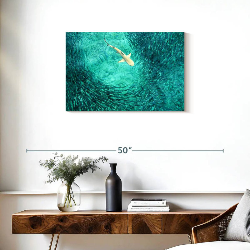 Requin Brampt, H 20 po x l 30 po