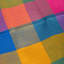 Samuel Alexander Throw Blanket